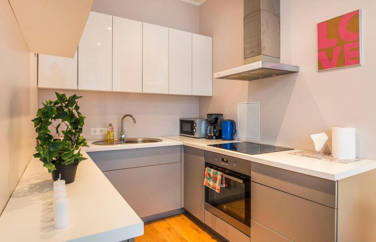 Central 2-Level Penthouse With Terrace And Free Parking Riga Kültér fotó